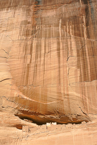 Arizona