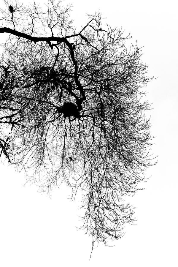 Black and White