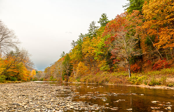 Pennsylvania