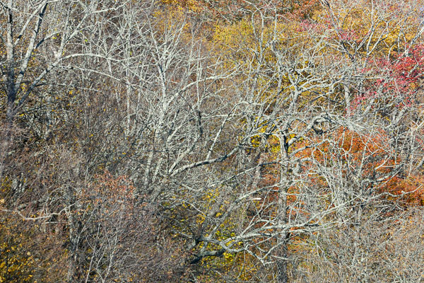 Smoky Mountains