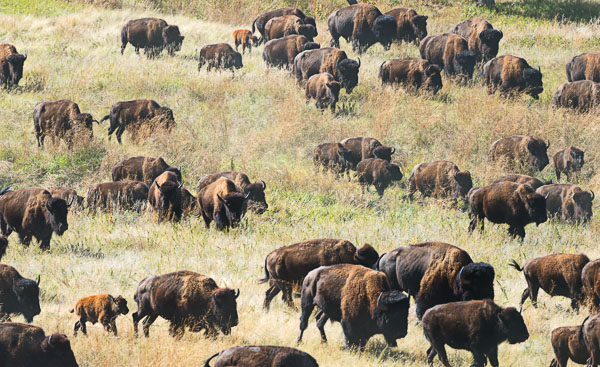 South Dakota